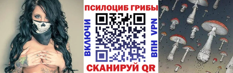 Галлюциногенные грибы Psilocybine cubensis  Купить  Онега 